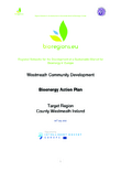 Irish Bioenergy Action Plan & Adoption 