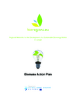 Czech Bioenergy Action Plan & Adoption