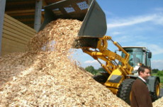 Buldozer handling biomass